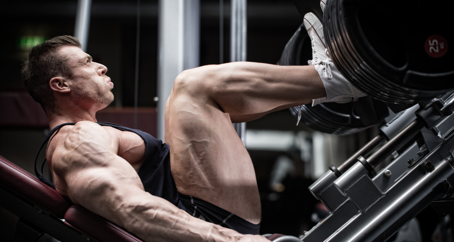 Dramatic Transformation Principle (DTP) - Lifters Lounge | Dein Forum ...