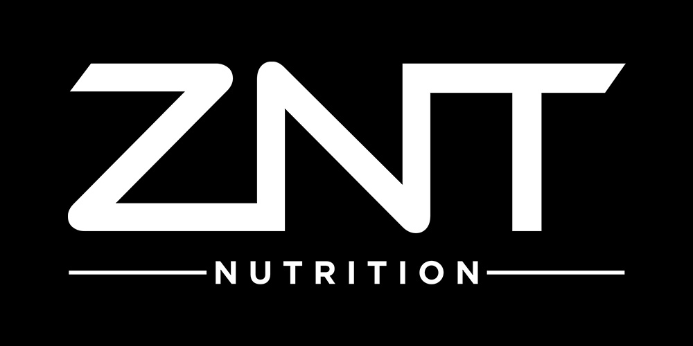 ZNT Partner Logo