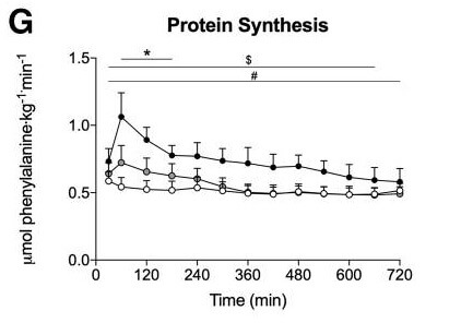 Rate der Ganzkörper-Protein-Synthese von Minute 0 bis Minute 720.