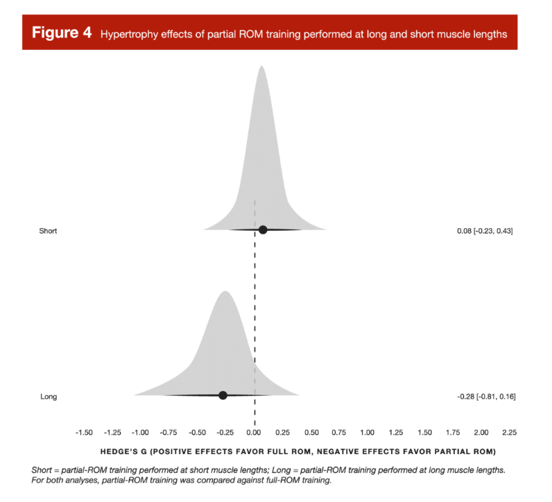 Hypertrophieeffekte eines partiellen ROM-Trainings bei langen und kurzen Muskellängen.
