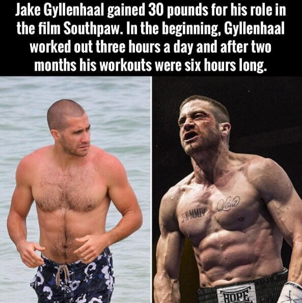 Vorher-Nachher-Bilder der Transformation von Hollywood-Star Jake Gyllenhaal.